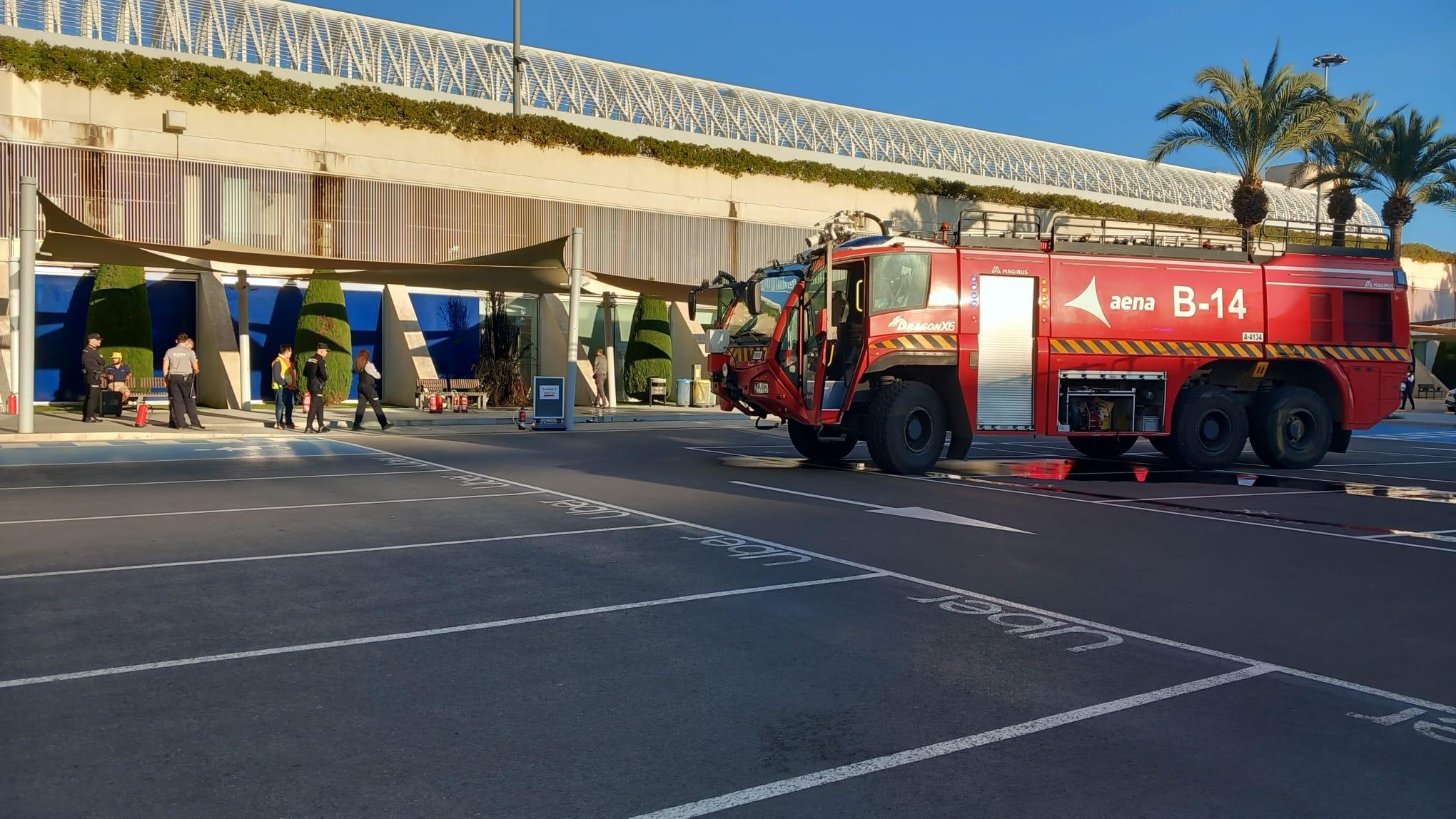 Un hombre prende fuego a un árbol en el aeropuerto de Palma